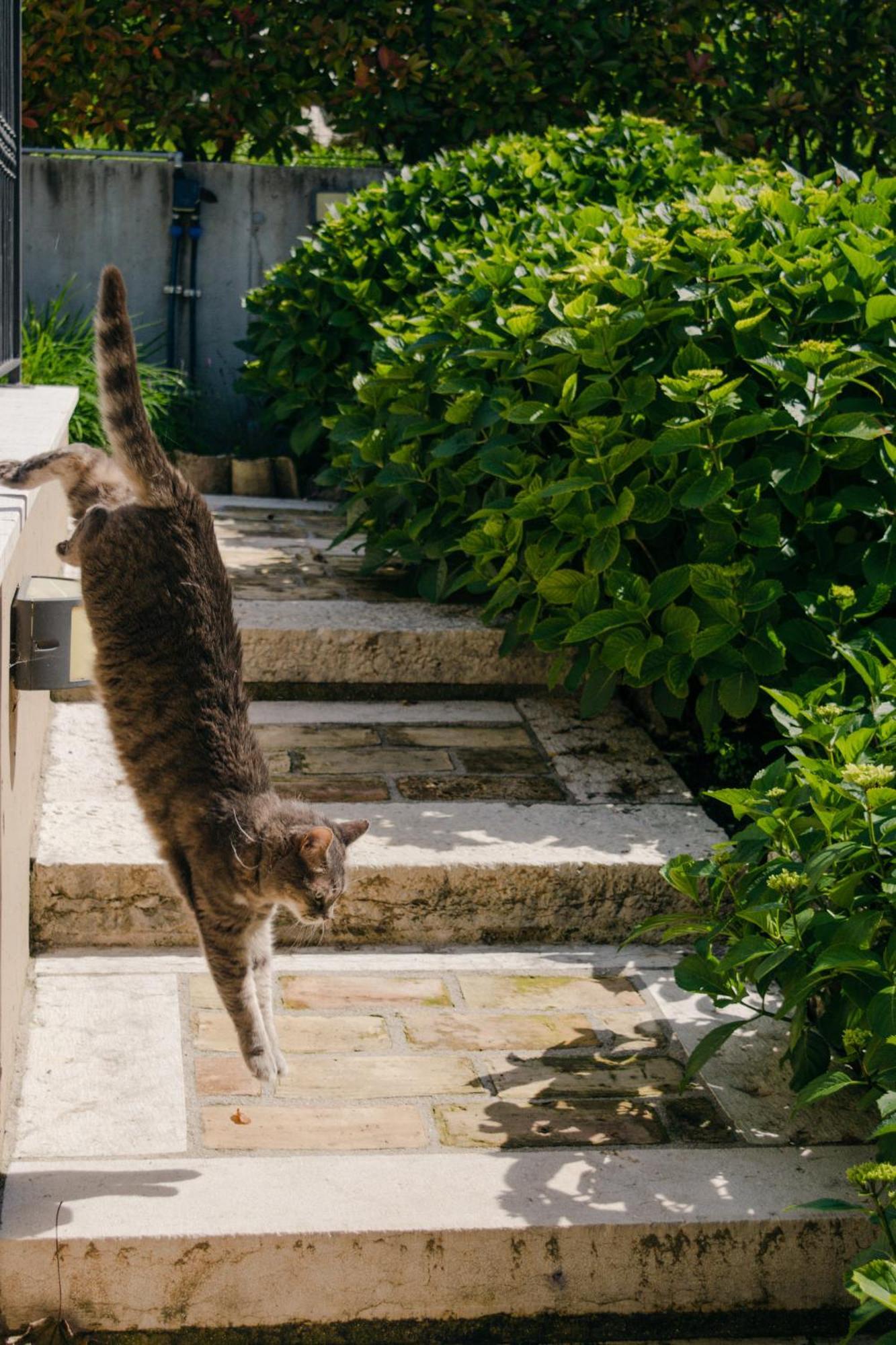 Corte Caiar Bed&Breakfast Caprino Veronese Exterior foto